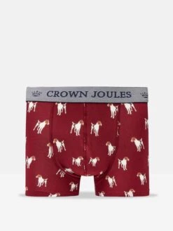 On All Fours Underwear 2 Pack -Elite Fashion Shop 115375s3