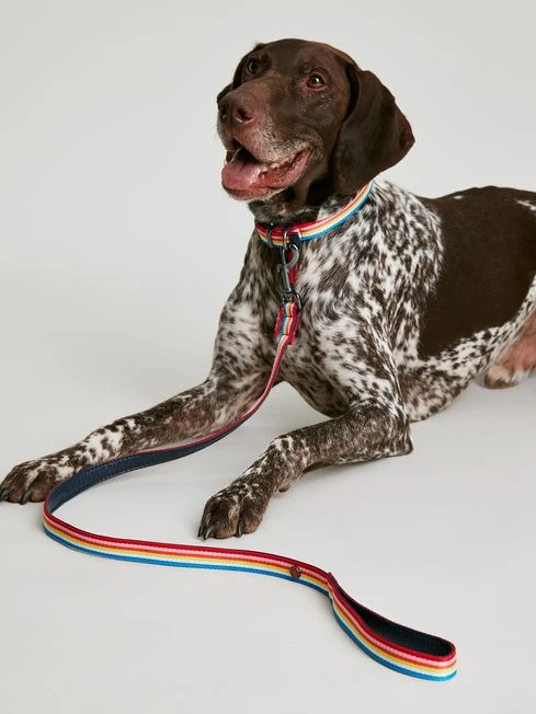 Multi Dog Lead 2 Multi Dog Lead - Image 2