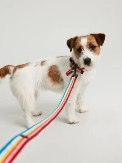 Multi Dog Lead 8 Multi Dog Lead -Elite Fashion Shop 257440s3