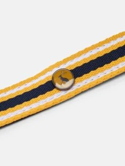 Multi Coastal Stripe Dog Lead -Elite Fashion Shop 674959s3