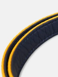 Multi Coastal Stripe Dog Lead -Elite Fashion Shop 674959s4